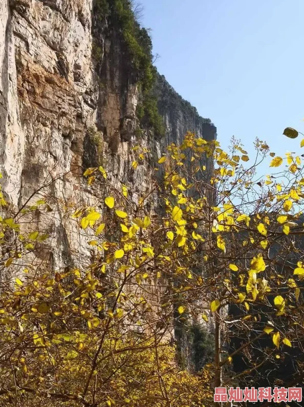 最新消息：玩家视角探秘自然奇观，天坑地缝游戏攻略成探险指南