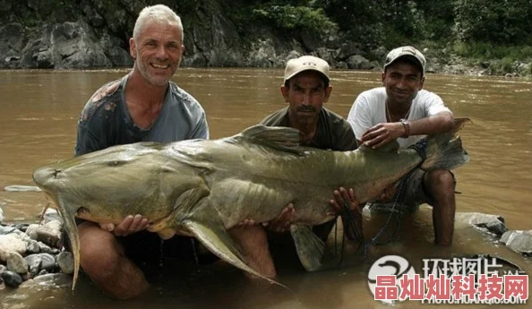 心动小镇最新消息：深入探索欧洲鲶鱼栖息地及出没地点全面介绍