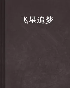 霍怀琛夏栀小说全文免费积极向上勇敢追梦相信自己能创造美好未来