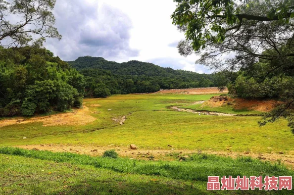 青青草原影视传播正能量让我们共同追求美好生活