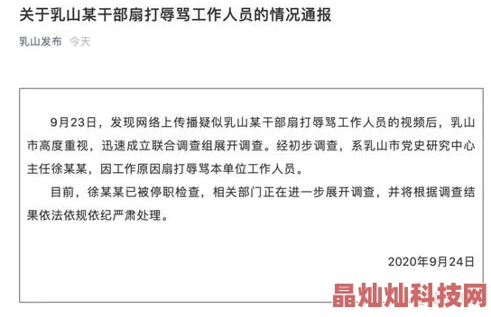 雷电将军被炒目前官方已介入调查并将严肃处理相关责任人