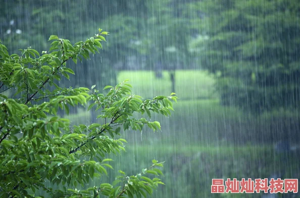 湿的小说连夜暴雨冲刷城市边缘人物的命运交织