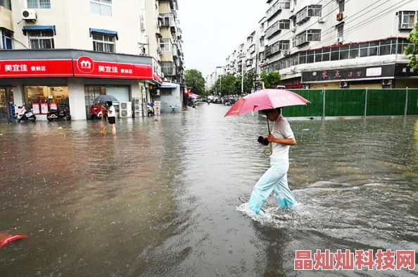 湿的小说连夜暴雨冲刷城市边缘人物的命运交织