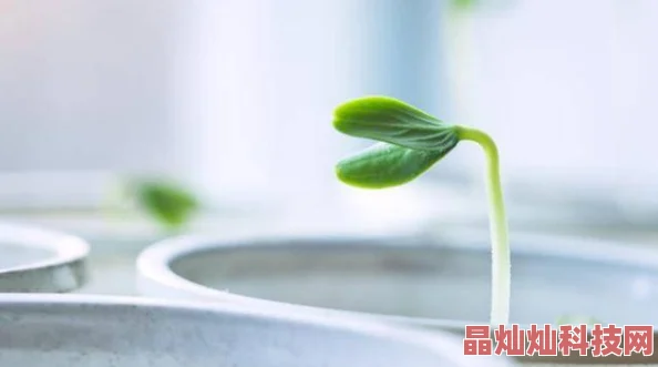 天堂热近日科学家发现新型热带植物具有抗旱能力或将改变生态研究方向