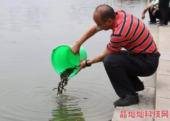 小核喷水h近日科学家发现小核喷水h在生态系统中扮演着重要角色，帮助维持水质和生物多样性