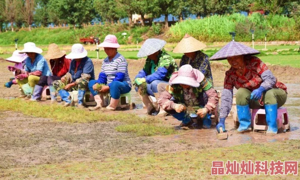 青草社区在线系统维护升级完成现已恢复正常访问