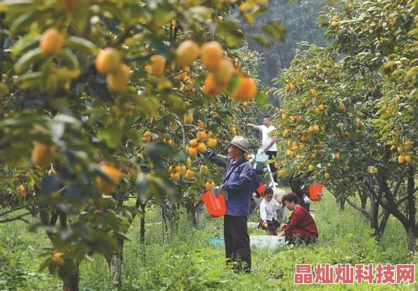 青草社区在线系统维护升级完成现已恢复正常访问