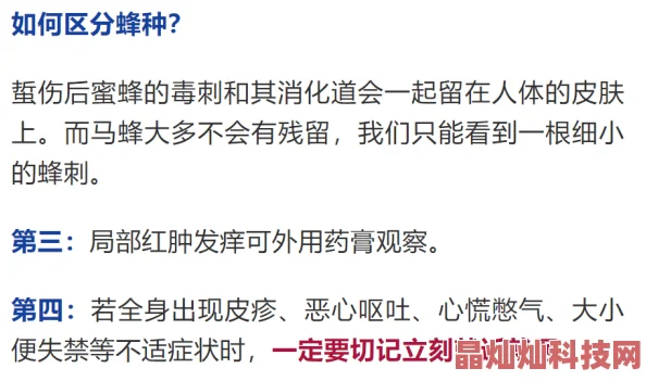 蜗牛式的狼心狗肺项目进度缓慢经费严重超支团队成员消极怠工