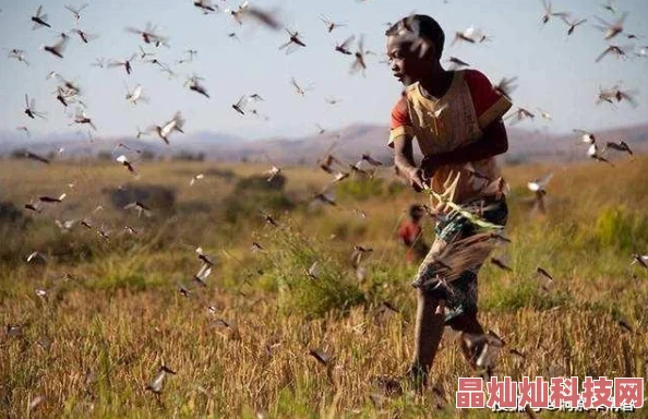 欲战欲乱双方持续增兵边境紧张局势升级战事一触即发