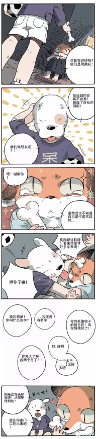 漫漫漫画免费漫画入口页面弹窗版本更新优化体验及修复已知BUG