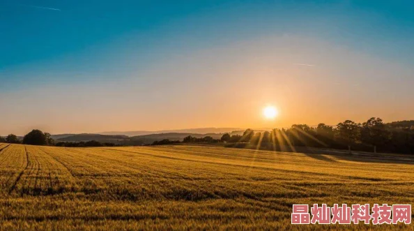 俄罗斯黄色一级片资源更新缓慢服务器维护中