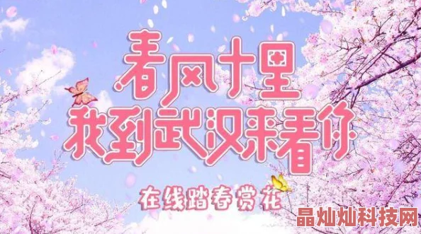 大团结txt夜樱绽放美丽希望在黑暗中闪耀勇气与梦想的光芒