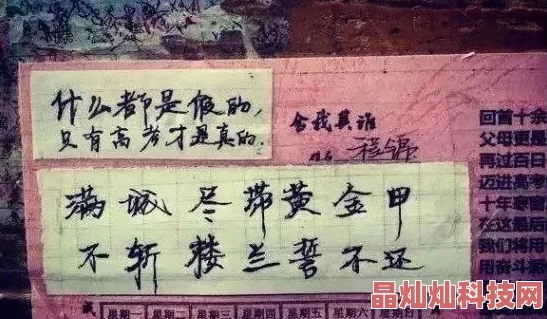 大团结txt夜樱绽放美丽希望在黑暗中闪耀勇气与梦想的光芒