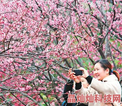 久久春色春回大地，万物复苏，期待新的希望和生机勃勃的景象