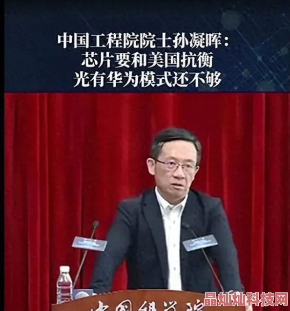 2024航海王强者之路：平民玩家必备！高输出阵容搭配与最新攻略推荐