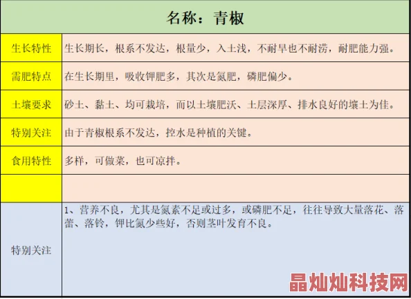 成品大香伊煮和小辣椒的用途研究报告初步完成待专家评审