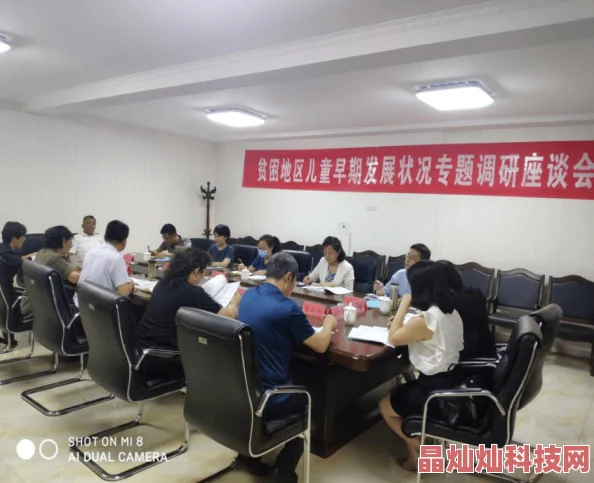 乱干进展顺利已完成前期调研工作并制定详细方案即将进入实施阶段