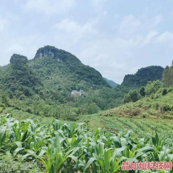 加山夏子在线全新写真集即将发布预售开启敬请期待