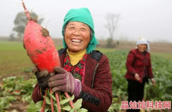 旅行者和派蒙拔萝卜萝卜太大了两人合力还是纹丝不动