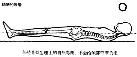 屁股拔出拉珠调教进度更新：拉珠长度增加疼痛等级提升