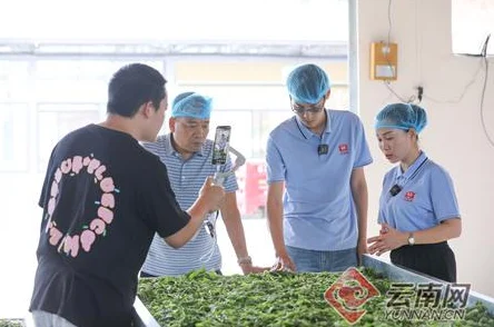 春雨免费观看直播下载探索更多精彩内容高清流畅直播等你来看