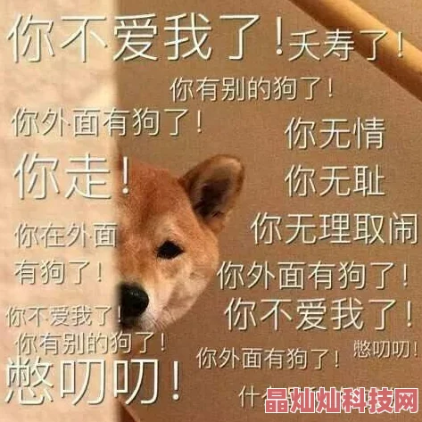 同居东哥狗狗监护权爱与责任同行让每个生命都能幸福快乐