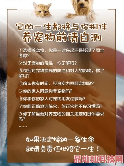 同居东哥狗狗监护权爱与责任同行让每个生命都能幸福快乐