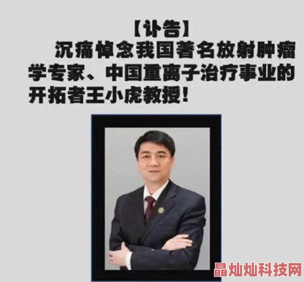 【2024新解】海岛奇兵10月11日恐怖博士阶段16高效通关视频攻略揭秘