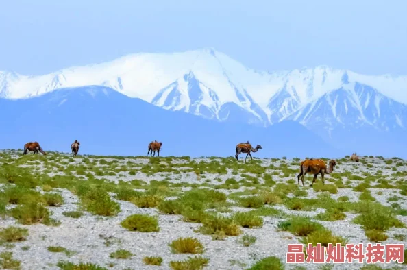 刀塔传奇小白解说新梦境挑战：大地之斧高伤攻略，揭秘最新打法技巧视频