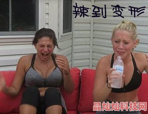 一女不过三精探讨女性在高压环境下如何应对多重角色挑战与身心健康平衡