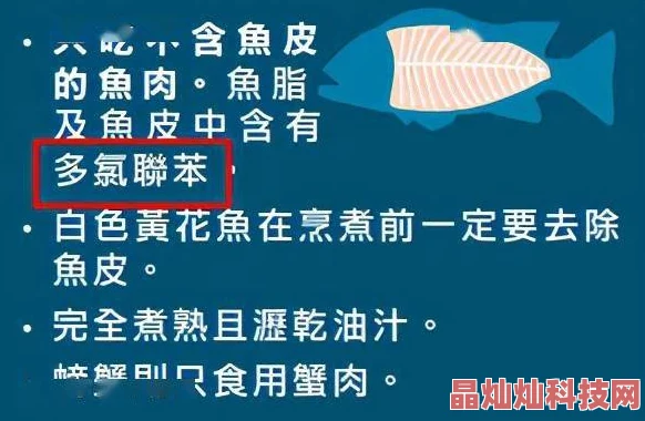 日本视频一区二区三区展现多元文化促进交流理解传递积极向上信息