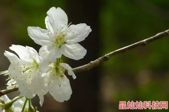 网友热议：三国杀传奇修炼术全揭秘，详解如何让武将实力飙升技巧