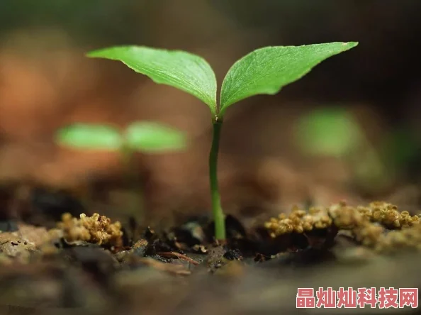 人人爱人人草近日，研究发现草本植物对改善空气质量有显著作用，专家建议在城市中增加绿化面积以提升生活环境