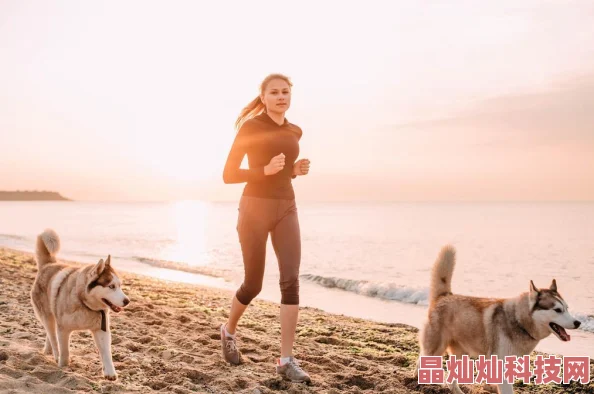 驯养篮球犬小说火爆连载中激动人心的篮球竞技与萌宠养成