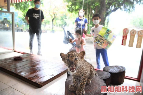 舌头好厉害越吸越舒服原标题曝光引发网友热议