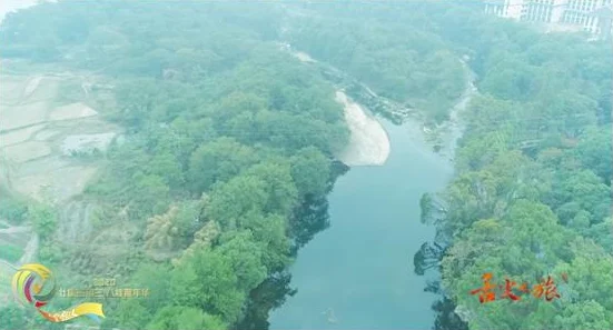 天下手游65级地图绝美风景引热议，风景党玩家必看网友精彩评价！