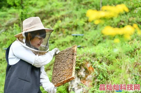 乌蒙小燕小说原名《乌蒙蓬蒿人》讲述大山深处女孩燕子的励志故事