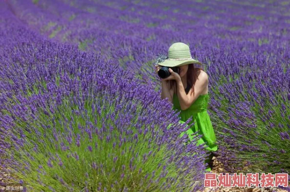 青青青草视频在线观看画质模糊内容低俗浪费时间建议远离