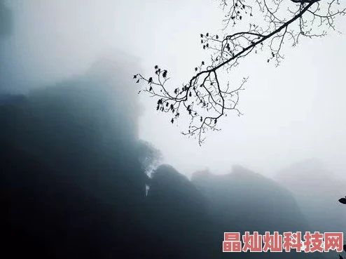 顽石历经风雨沧桑，依然坚守初心，静待花开