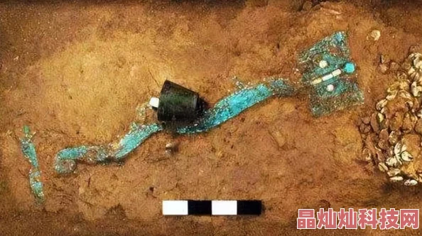 网友热议：仙变OL七十二变神兽进化系统全面详解与评测