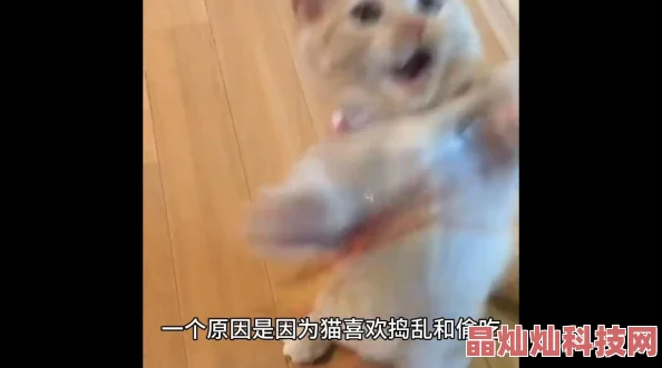 不要好烫尿到肚子里了h听说隔壁老王家的猫昨天偷吃了鱼结果卡住了现在正在宠物医院抢救