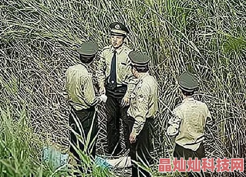 剑与魔法65级单人副本采花任务攻略详解，网友热评高效通关教程