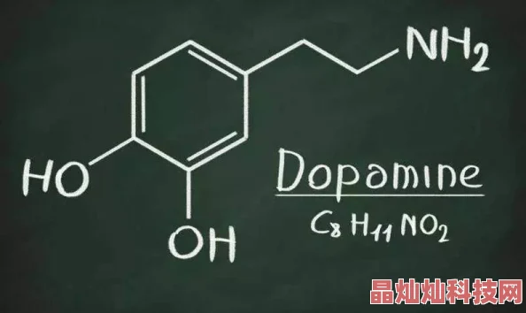 欲望科学家发现大脑奖赏系统中多巴胺释放的新机制或助于解释成瘾行为