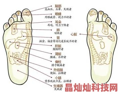 足控网站这类网站通常以展示和分享脚部图片视频为主吸引特定人群关注