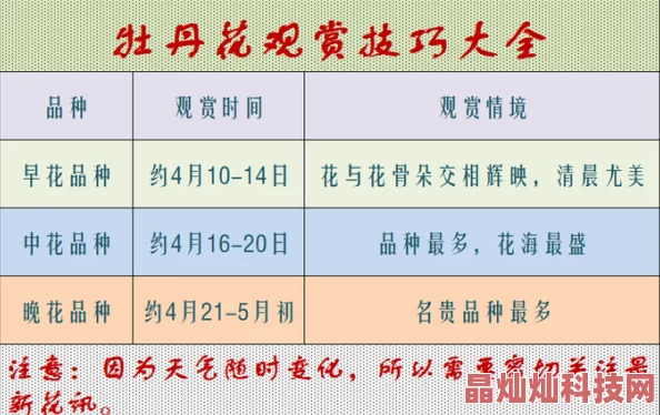 国色天香一二三期区别大象节目更新至第四期新增嘉宾及赛制调整