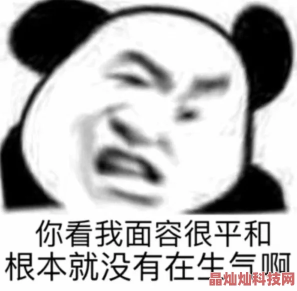 《沙雕攻他重生了》沙雕依旧笑出鹅叫甜度超标HE结局我可以