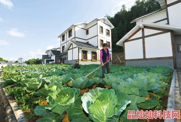 农家娘子种田记喜获丰收盖新房添丁进口