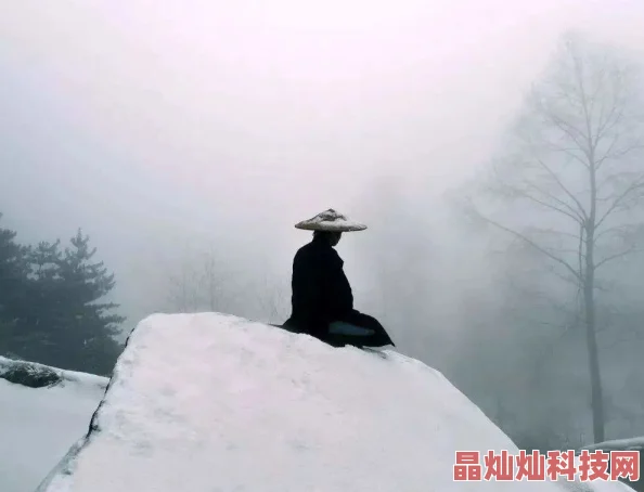 千山暮雪番外独家揭秘慕振飞与童雪隐居生活