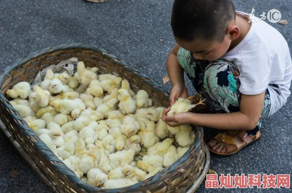 一边摸一边做网友表示熟能生巧但也要注意安全和卫生