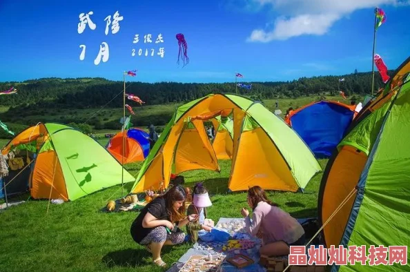 后宫露营在线画面精美剧情轻松休闲适合打发时间